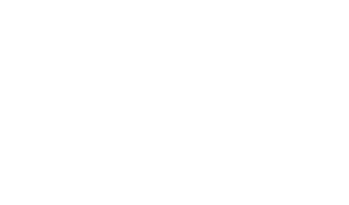 BagBursts