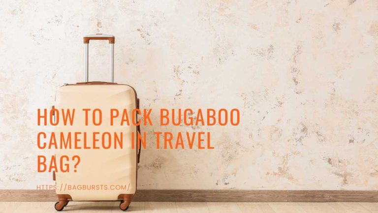 How to Pack Bugaboo Cameleon in Travel Bag?