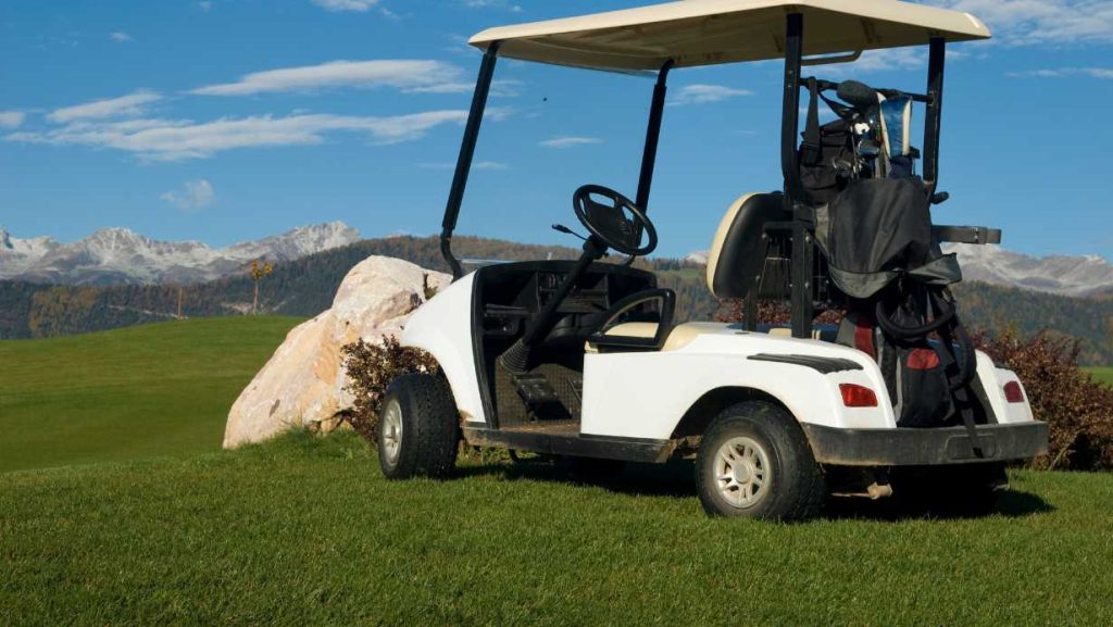 Compatibility Of Cart Bags On Golf Carts